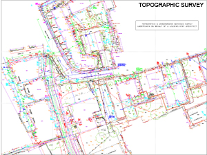 topographic surveys