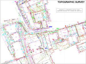 topographic surveys